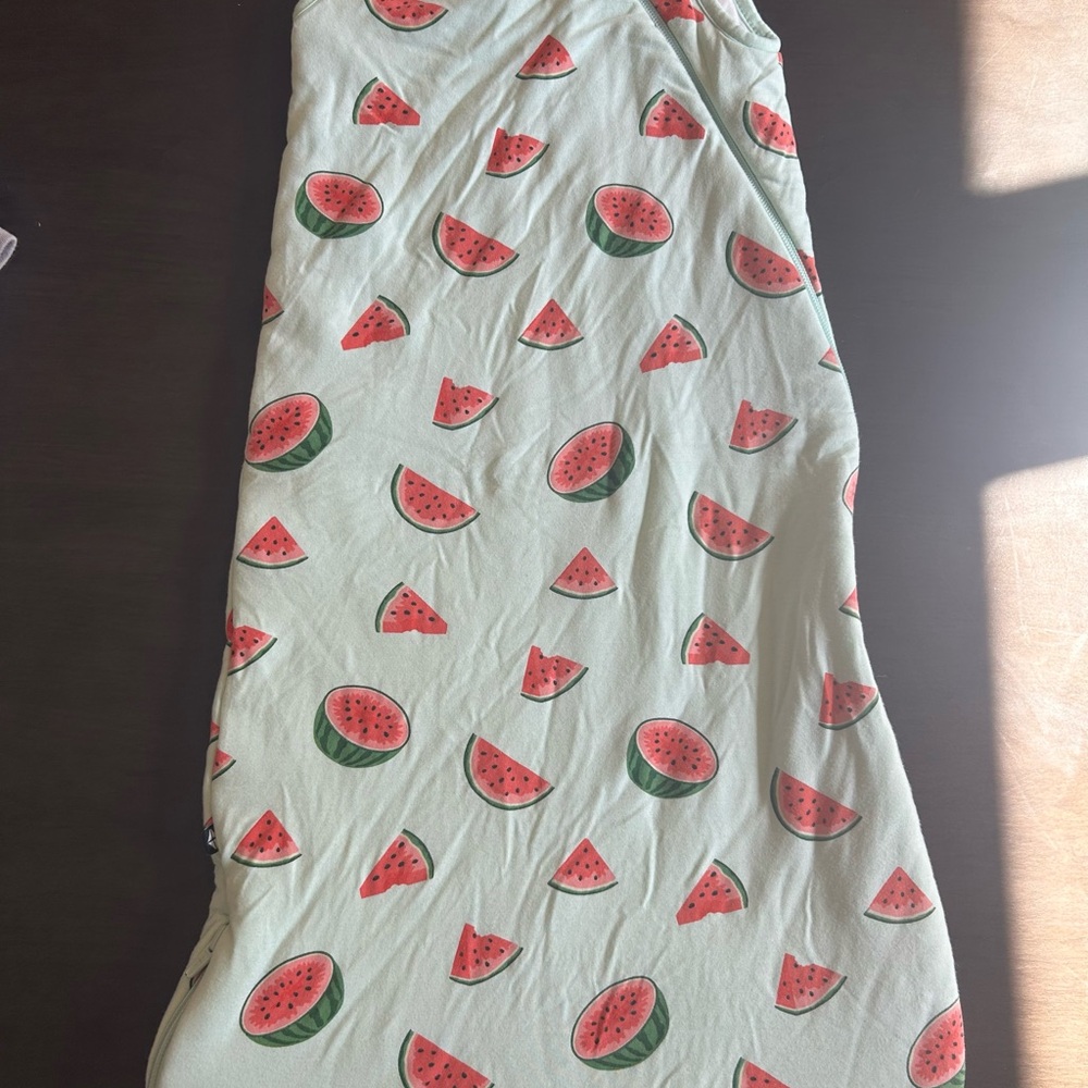 Kyte BABY Mint Watermelon Print Sleep Sack